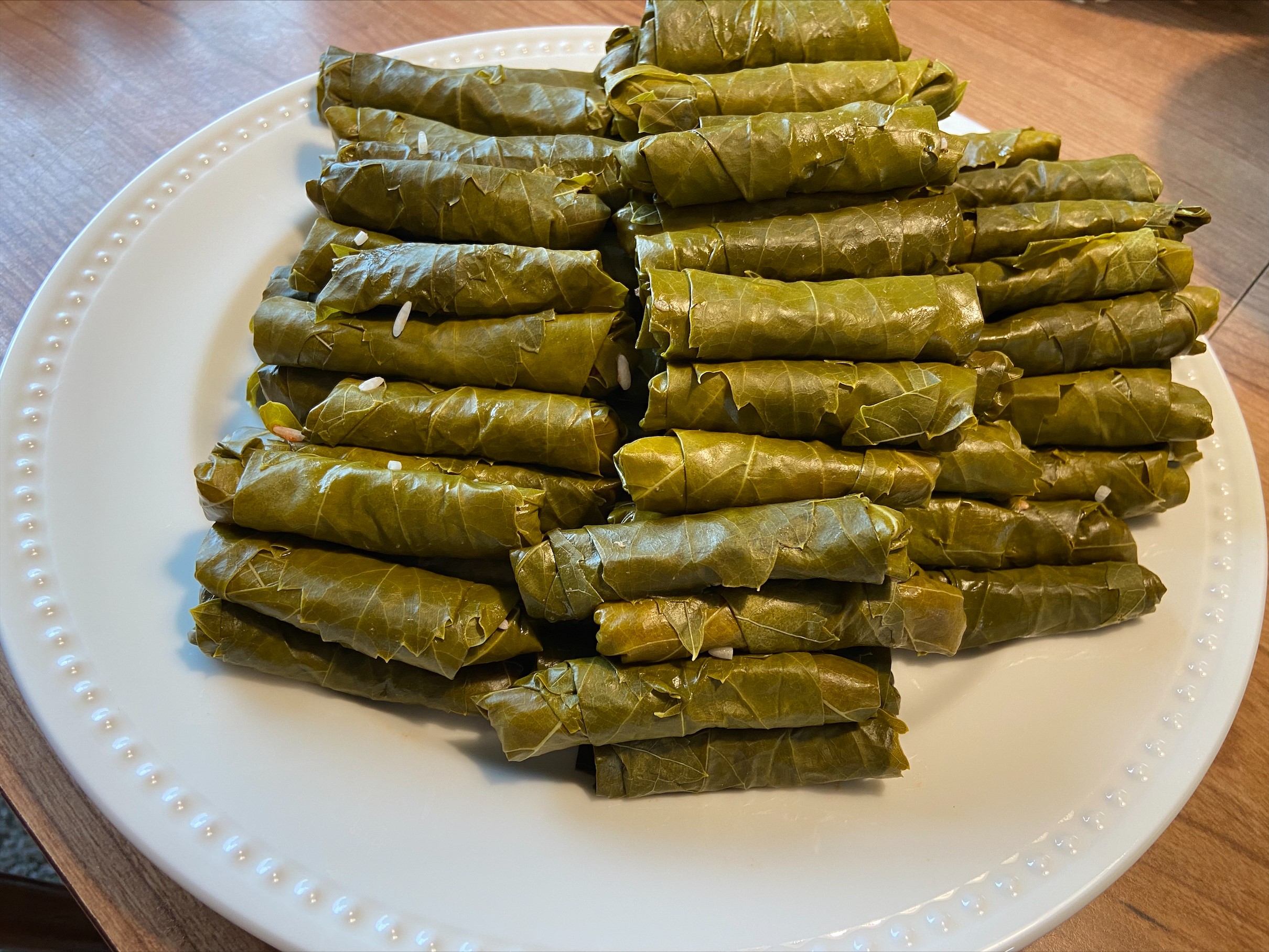 Grape Leaves 3